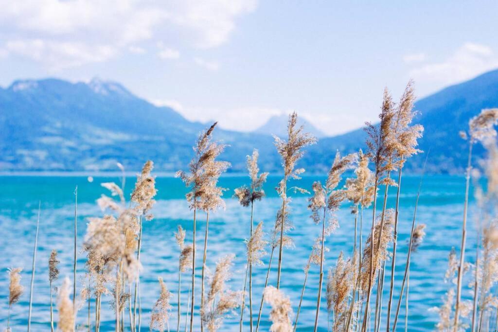 Le Boheme Beau T2 Vue Lac & Montagnes + Garage Annecy Exteriör bild