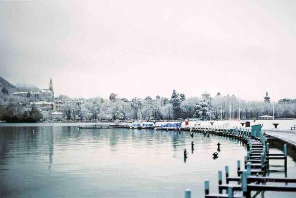 Le Boheme Beau T2 Vue Lac & Montagnes + Garage Annecy Exteriör bild